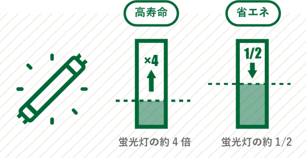 蛍光灯の約4倍　蛍光灯の約1/2