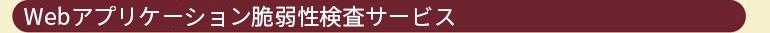 Webアプリケーション脆弱性検査サービス