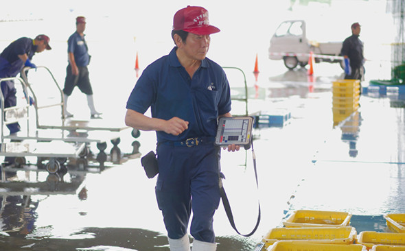 写真：魚市場の職員が荷受けした魚の選別・計量を行っている様子。腰に付けたモバイルプリンターからは生産者に渡す受領書を発行する。