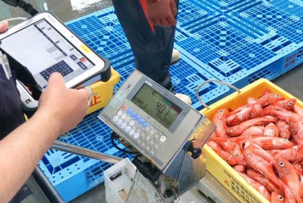 写真：生産者からの入荷予定情報をもとに、漁協職員は荷受け準備を整える。