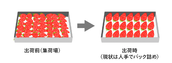 形状に個体差がある対象物の整列