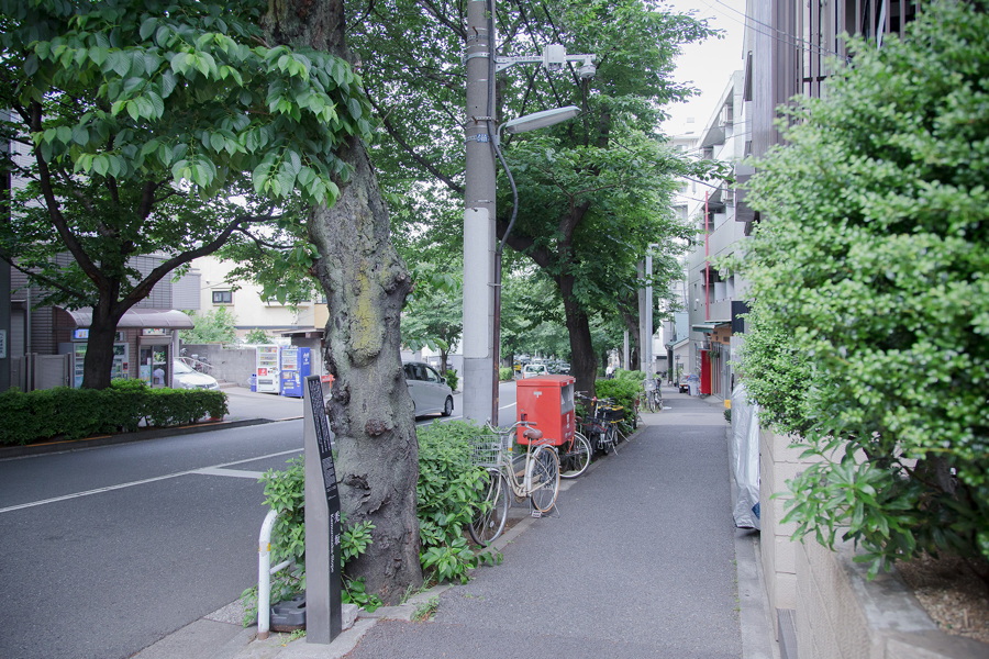 写真:通学路の交差点付近に設置された屋外対応型全方位カメラ
