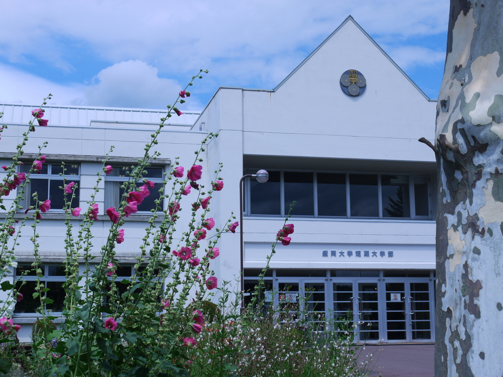 写真:盛岡大学短期大学部様外観
