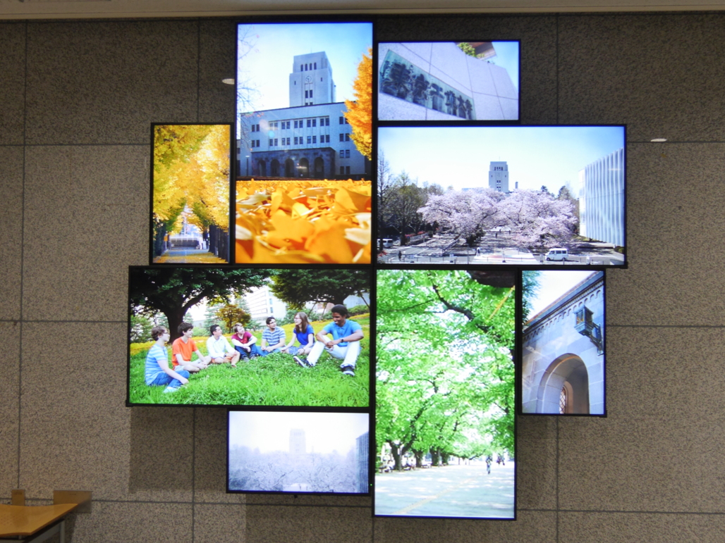 写真：静止画データを風車型に切り出し表示