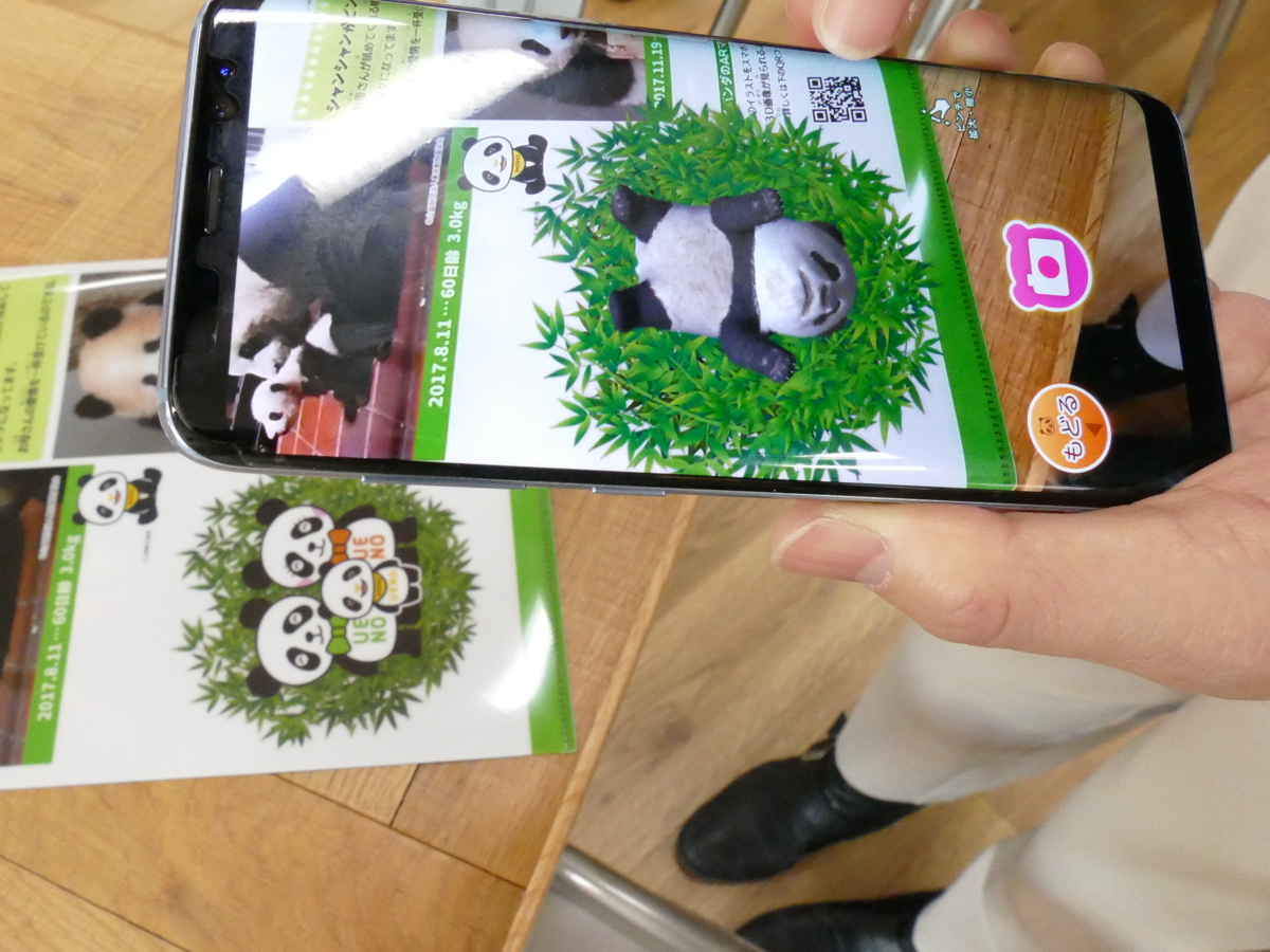 写真:クリアホルダーに印刷された「うえのパンダくん家族」のマークにスマートホンをかざすと、シャンシャンの立体CG画像が画面に表示される