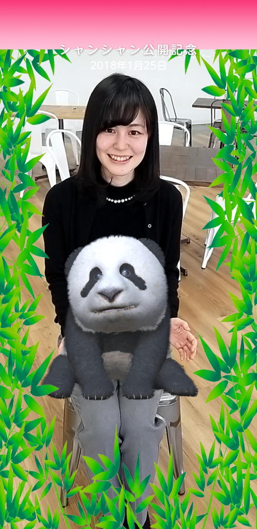 写真:「お試し」で撮影。シャンシャンが膝の上。