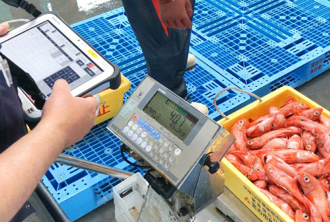 写真:生産者からの入荷予定情報をもとに、漁協職員は荷受け準備を整える。