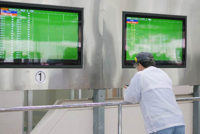 写真:入札情報は魚市場に設置された大画面に表示される。