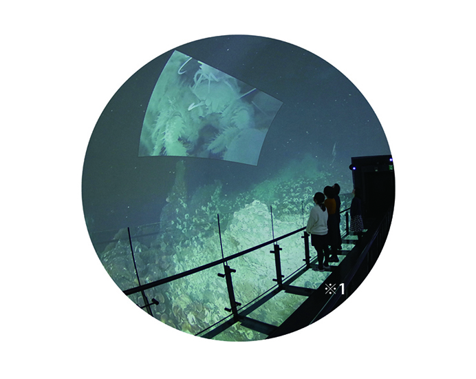 写真:深海映像の上映風景
