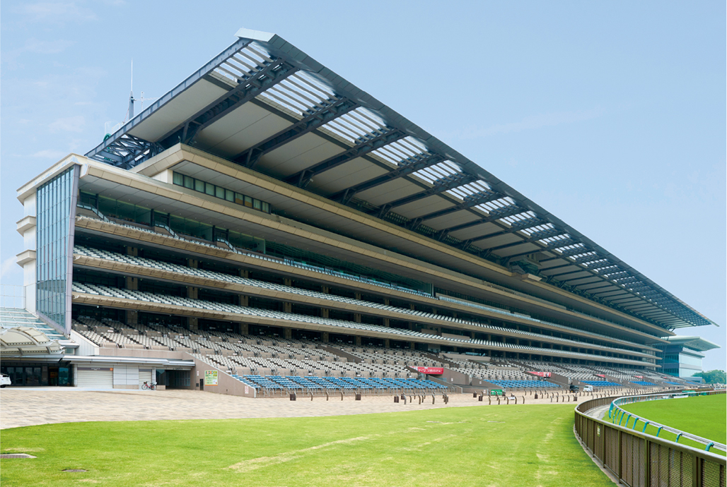 写真:東京競馬場