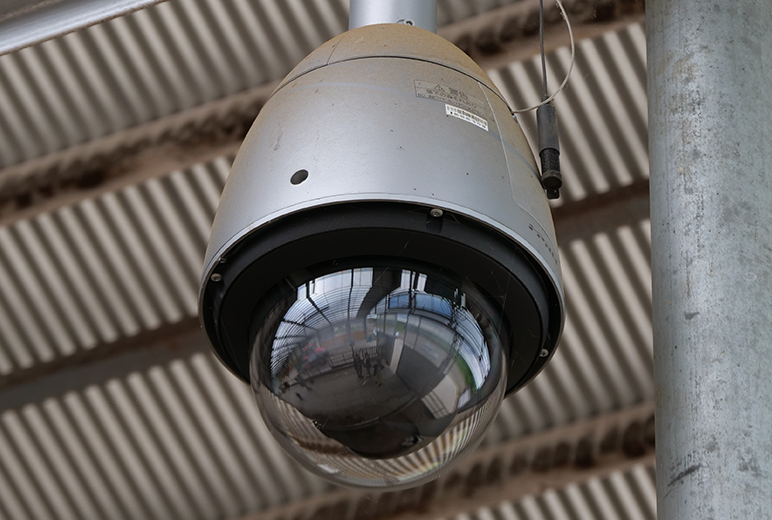 写真:牛舎の中に設置されたフルHD屋外ハウジング一体型ネットワークカメラWV-S6530NJ