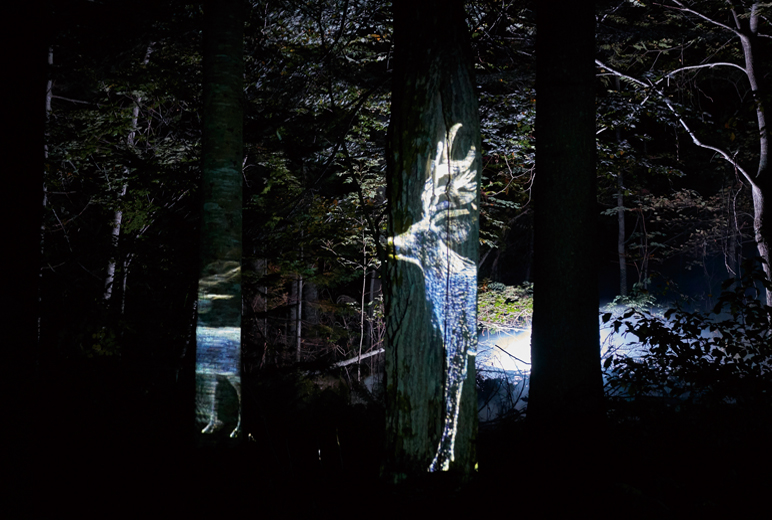 写真:木々に映し出された鹿の映像。