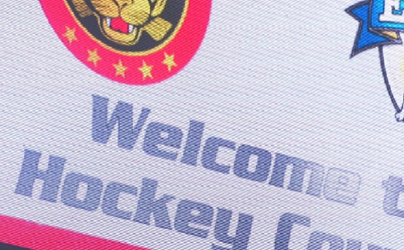 写真:SCL Tigersのマーク