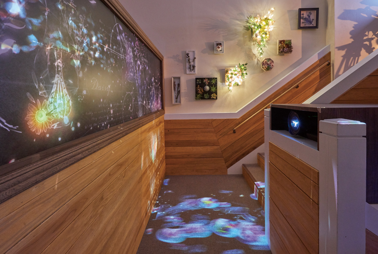 写真：DLP®レーザープロジェクターで投射された映像