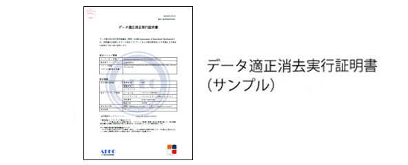 ADEC消去証明