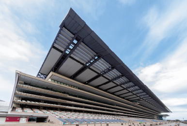 写真:東京競馬場のフジビュースタンドとメモリアル60スタンド