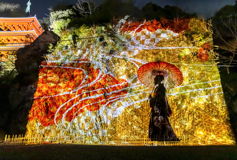 写真：高さ約20 mの崖一面に岐阜市の歴史を映し出した大迫力のメインスポット「奇跡の崖」