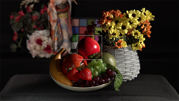 フォーカスエリアサイズ-小