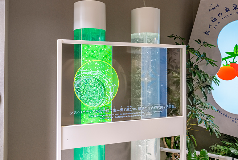 写真：背景が透過する透明有機EL（OLED）ディスプレイ