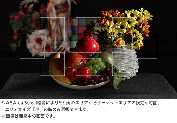 カメラヘッドへのオートフォーカス機能の画像