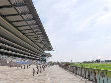 写真:東京競馬場