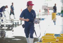 写真:魚市場の職員が荷受けした魚の選別・計量を行っている様子。腰に付けたモバイルプリンターからは生産者に渡す受領書を発行する。