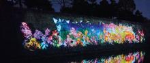 写真:二条城の石垣に映し出されたプロジェクションマッピング。色彩豊かな花の世界が表現されている。