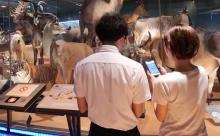 写真：国立科学博物館館内