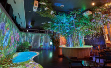 写真：光のファンタジアシティ